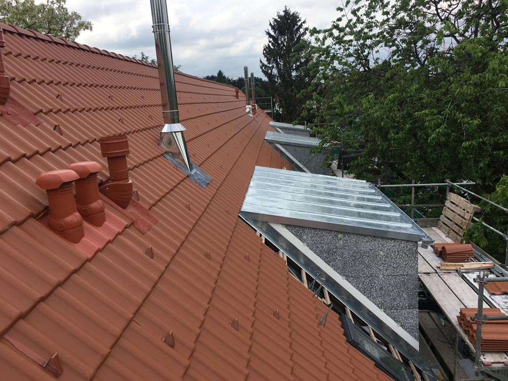 Geneigtes Dach Braas Harzer Pfanne BIG